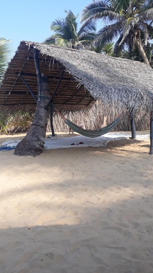 Hotel Dolphinchilling Alankuda Esterno foto